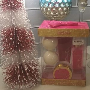 Fantasy by Britney Spears 5pc giftset